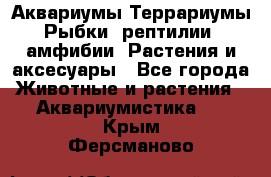 Аквариумы.Террариумы.Рыбки, рептилии, амфибии. Растения и аксесуары - Все города Животные и растения » Аквариумистика   . Крым,Ферсманово